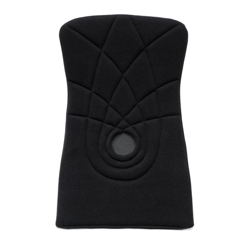 119 Series Back Cushion